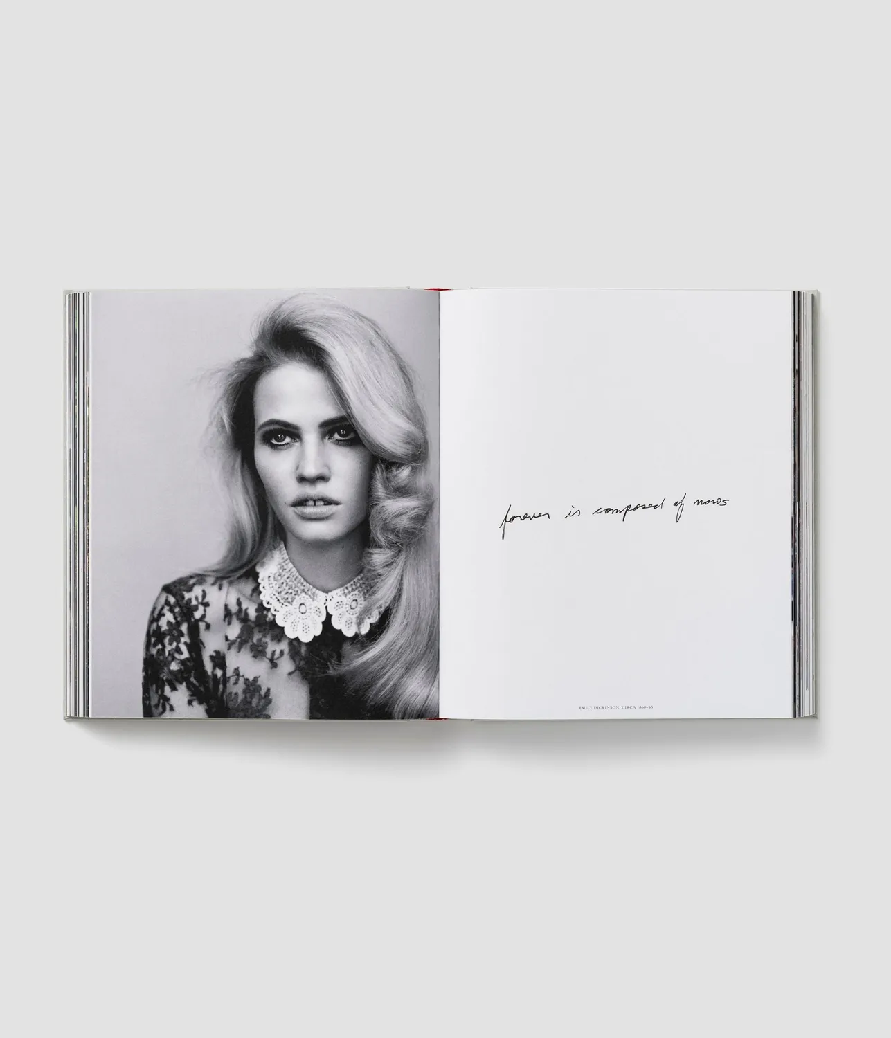 Erdem Signed Edition libro copertina rigida firmato inglese