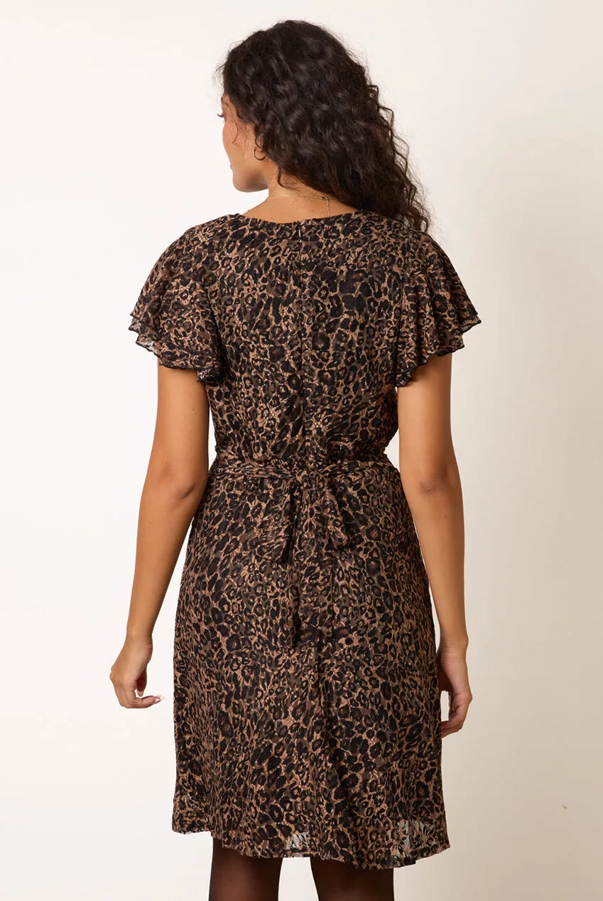 Blue Vanilla Leopard Lace abito mini animalier S pizzo