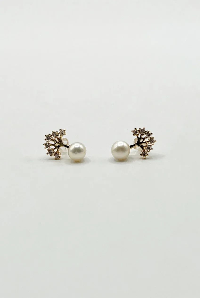 SVNX Diamante Tree orecchini perla oro scatola regalo