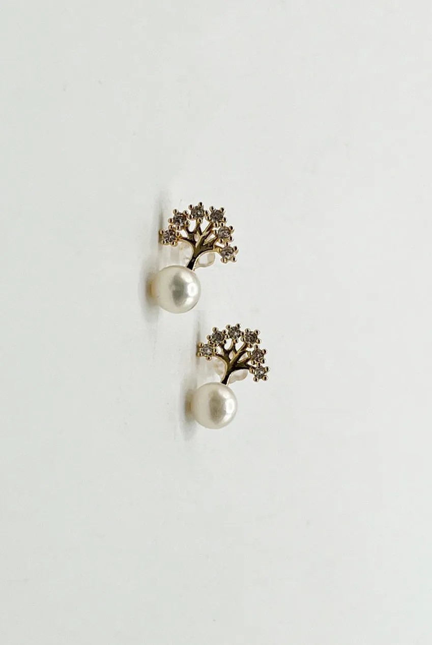 SVNX Diamante Tree orecchini perla oro scatola regalo