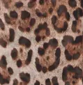 Dahlia Ines top leopardato in georgette con coulisse