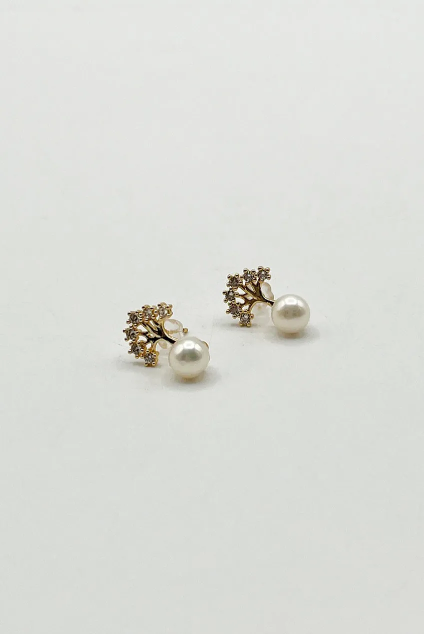 SVNX Diamante Tree orecchini perla oro scatola regalo